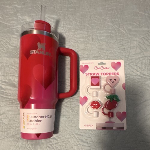 Stanley quencher cup - cup, 30oz
